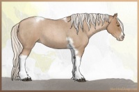 Horse Color:Silver Blue Roan Pearl Tobiano Frame 