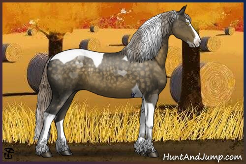 Horse Color:Chocolate Palomino Splash Tobiano 