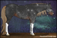 Horse Color:Gray Liver Chestnut 
