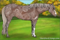 Horse Color:Silver Brown Ice 