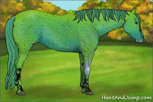 Horse Color:ERROR: UNKNOWN ANOMALY