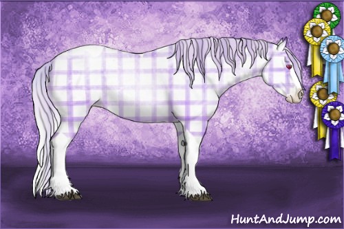 Horse Color:Plaid Silver Grullo Chinchilla Ice Roan Pearl Splash Tobiano