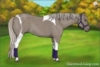 Horse Color:Silver Grullo Roan Tobiano