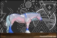 Horse Color:Painted Watercolor White Spotted Silver Grullo Chinchilla Tobiano Rabicano