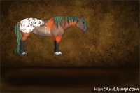 Horse Color:Painted Brown Dun Blanket Rabicano 