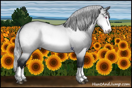 Horse Color:Silver Brown Chinchilla Roan Dun Splash 