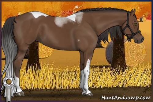 Horse Color:Bay Tobiano 