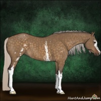 Horse Color:White Spotted Silver Brown Dun 