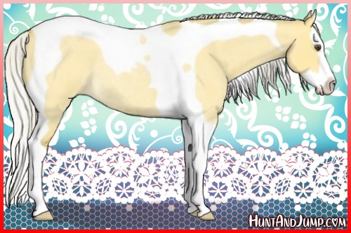 Horse Color:Silver Buckskin Roan Dun Splash Tobiano Rabicano 