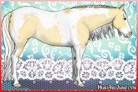 Horse Color:Silver Buckskin Roan Dun Splash Tobiano Rabicano 