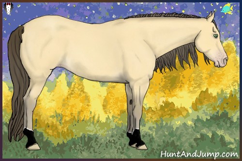Horse Color:Amber Cream Champagne Roan