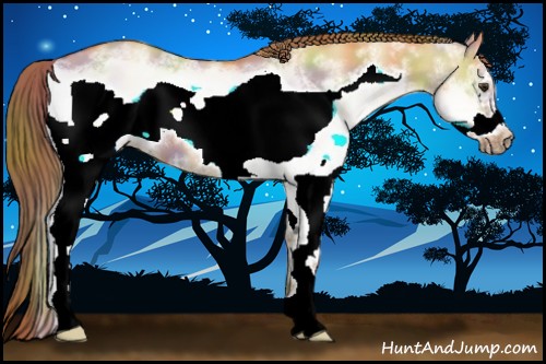 Horse Color:Nacre White Spotted Red Dun Frame 