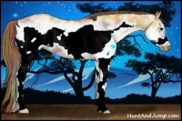 Horse Color:Nacre White Spotted Red Dun Frame 