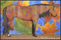 Horse Color:Nacre Bay Roan Sabino Rabicano 