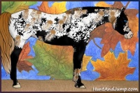 Horse Color:White Spotted Chestnut Splash 