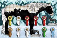 Horse Color:Plaid  Chocolate Silver Brown Chinchilla Sabino Splash Varnish 