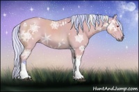 Horse Color:Watercolor White Spotted Silver Brown Chinchilla Ice Tobiano