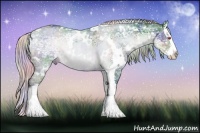 Horse Color:Nacre Watercolor White Spotted Silver Black Chinchilla Ice Splash