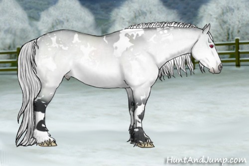 Horse Color:White Spotted Silver Brown Chinchilla Dun 