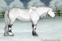 Horse Color:White Spotted Silver Brown Chinchilla Dun 