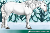 Horse Color:Liver Red Onyx Mushroom Sabino Appaloosa 