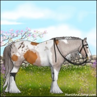 Horse Color:Bay Splash Tobiano Blanket  and Bay Splash Tobiano Blanket 