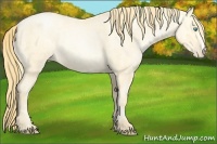 Horse Color:Buckskin Roan Pearl and Buckskin Roan Pearl