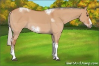 Horse Color:Silver Bay Dun Sabino Tobiano Frame Rabicano