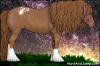 Horse Color:Red Roan Appaloosa