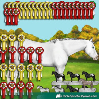 Horse Color:White Spotted Perlino Appaloosa 