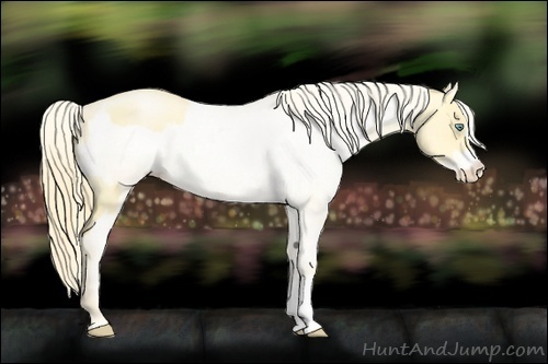 Horse Color:Buckskin Roan Pearl  and Buckskin Roan Pearl Varnish 