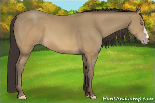 Horse Color:Sable Cream Champagne