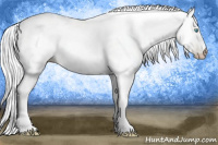 Horse Color:Gray Silver Amber Cream Champagne Pearl 