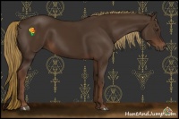 Horse Color:Liver Chestnut 