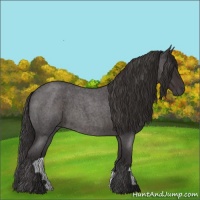 Horse Color:Smoky Blue Roan 