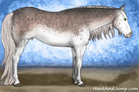 Horse Color:Platinum White Spotted Chocolate Palomino