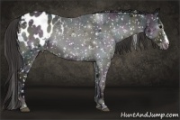 Horse Color:Platinum Midnight Smoky Blue Onyx Roan Appaloosa 