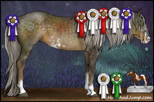 Horse Color:Chocolate Palomino Sabino