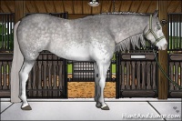 Horse Color:Platinum White Spotted Silver Buckskin Roan Dun 
