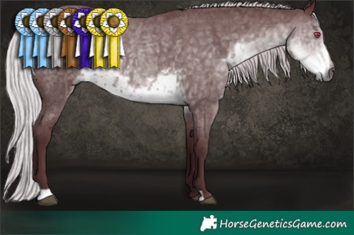 Horse Color:Chocolate Silver Smoky Blue Chinchilla Roan 