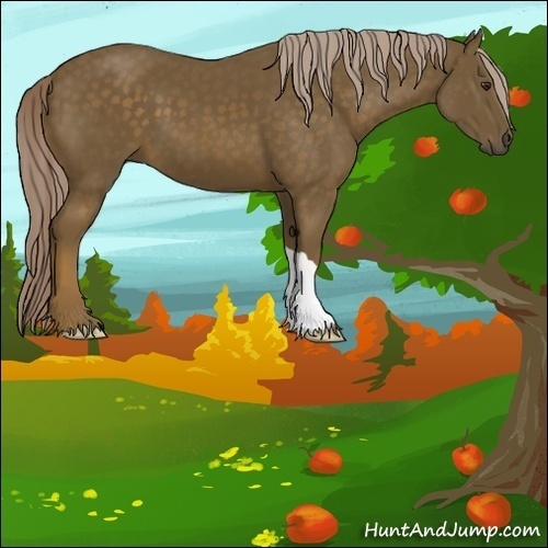 Horse Color:Chocolate Palomino 