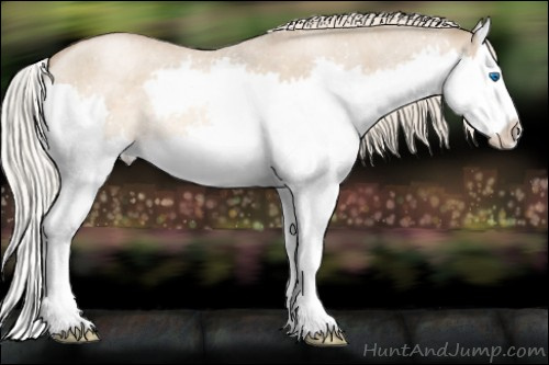 Horse Color:Chocolate Palomino Roan Pearl Dun Splash 