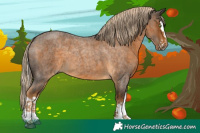 Horse Color:Chocolate Palomino Roan Splash