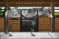 Horse Color:White Spotted Brown Roan Frame 