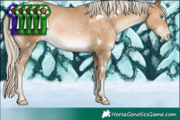 Horse Color:White Spotted Chocolate Palomino Pearl 