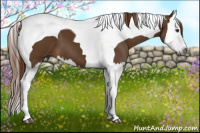 Horse Color:Gray Chestnut Splash Tobiano