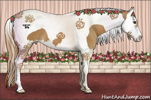 Horse Color:Chestnut Splash Tobiano 