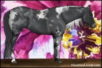 Horse Color:Blue Chinchilla Roan Tobiano Frame 