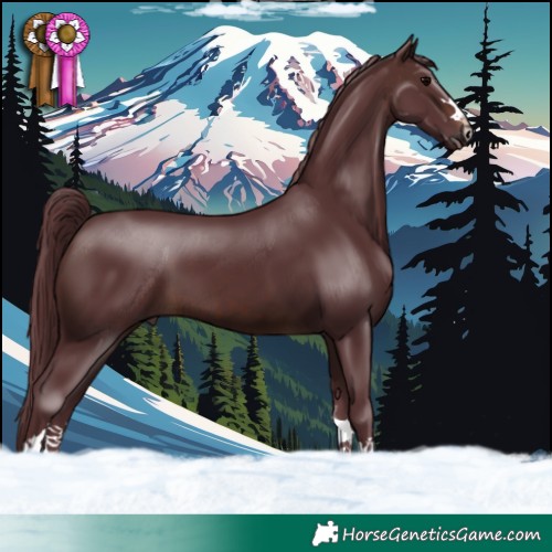 Horse Color:Chocolate Brown 