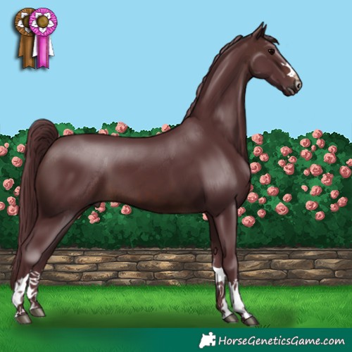 Horse Color:Chocolate Brown 